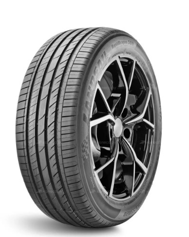 LANDSAIL_DELINTE RAPID DRAGON SUV 305/40 R20