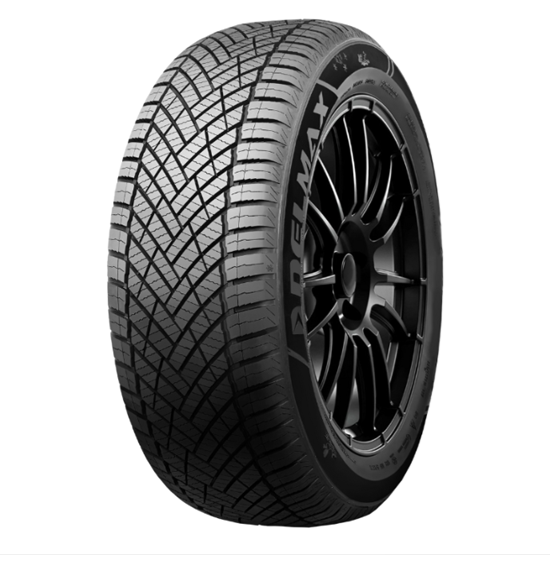 DELMAX X-WEATHER II 4S 205/55 R16