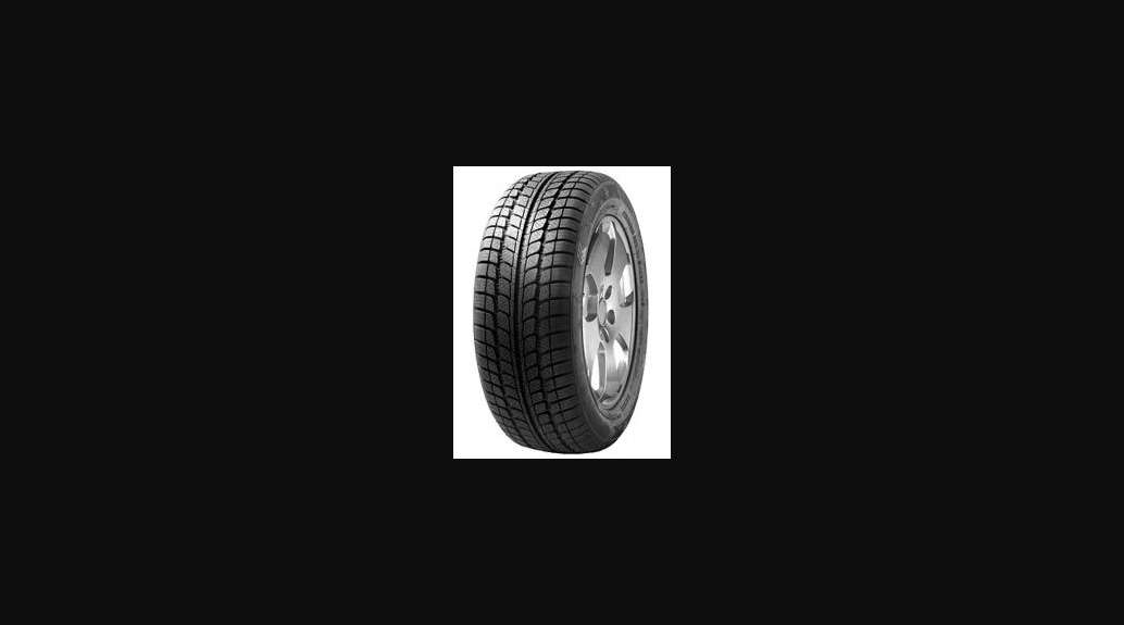 TAURUS WINTER 205/55 R16