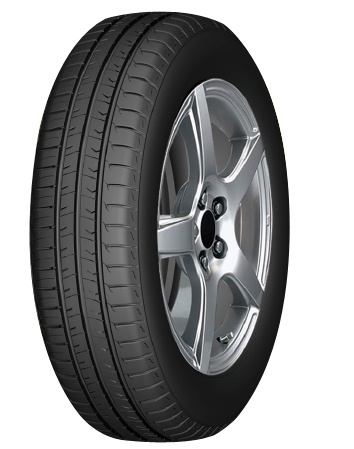 INVOVIC EL601 255/30 R19
