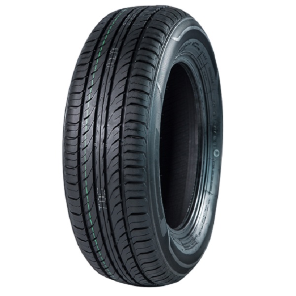 FRONWAY ECOGREEN 66 205/55 R16
