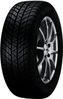 PLATIN RP70 WINTER 205/55 R16
