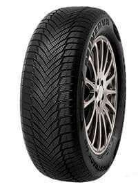 MINERVA FROSTRACK HP 205/55 R16