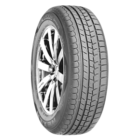 ROADSTONE WINGUARD SNOW G 205/55 R16