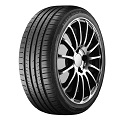 GREMAX CAPTURAR CF-19 255/30 R20