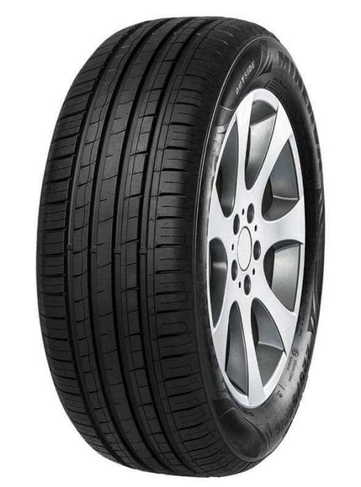 MINERVA F209 205/55 R16