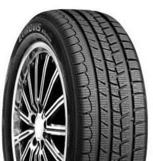 ROADSTONE EUROVIS ALPINE 205/55 R16