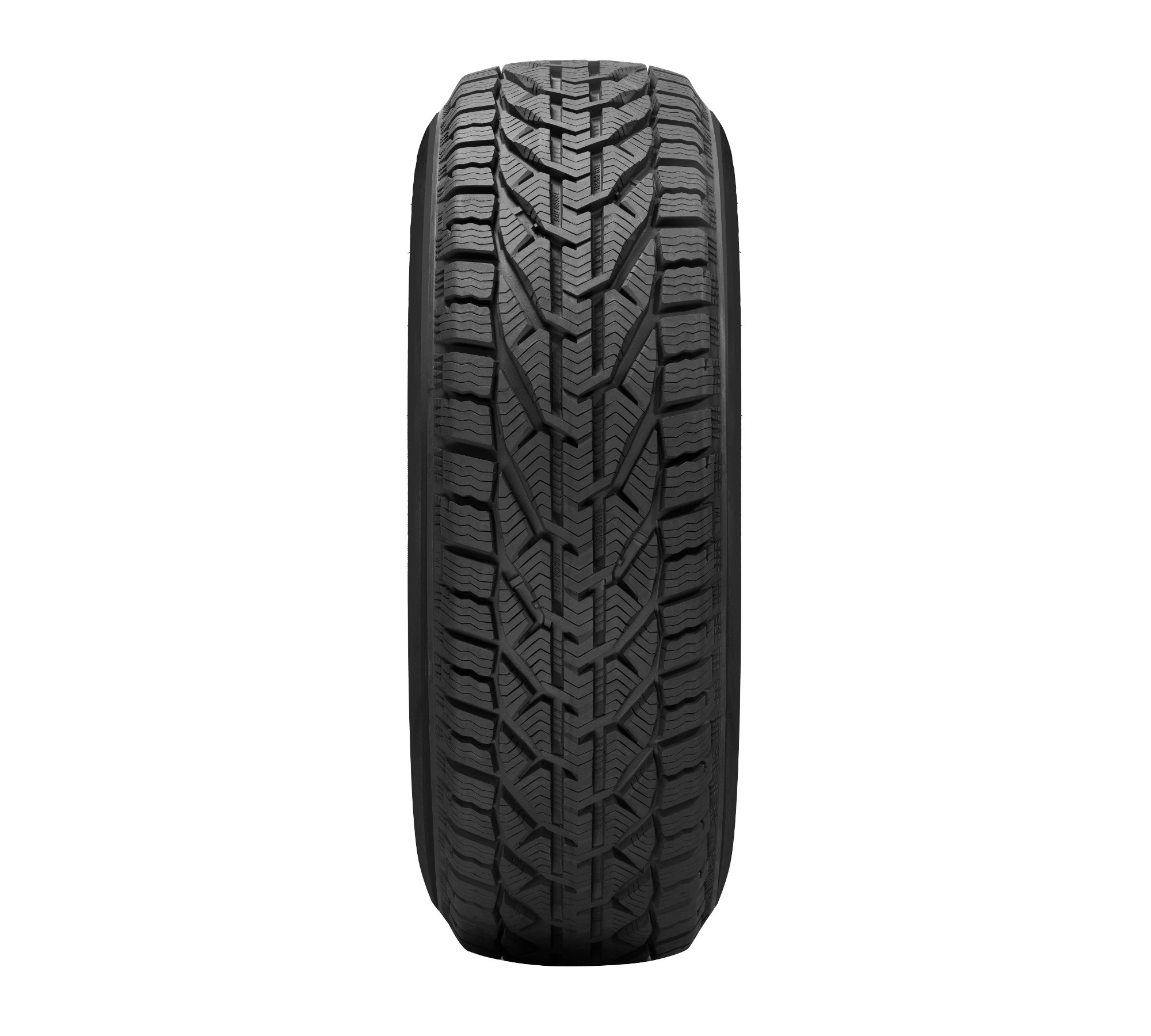 RIKEN SNOW 205/55 R16