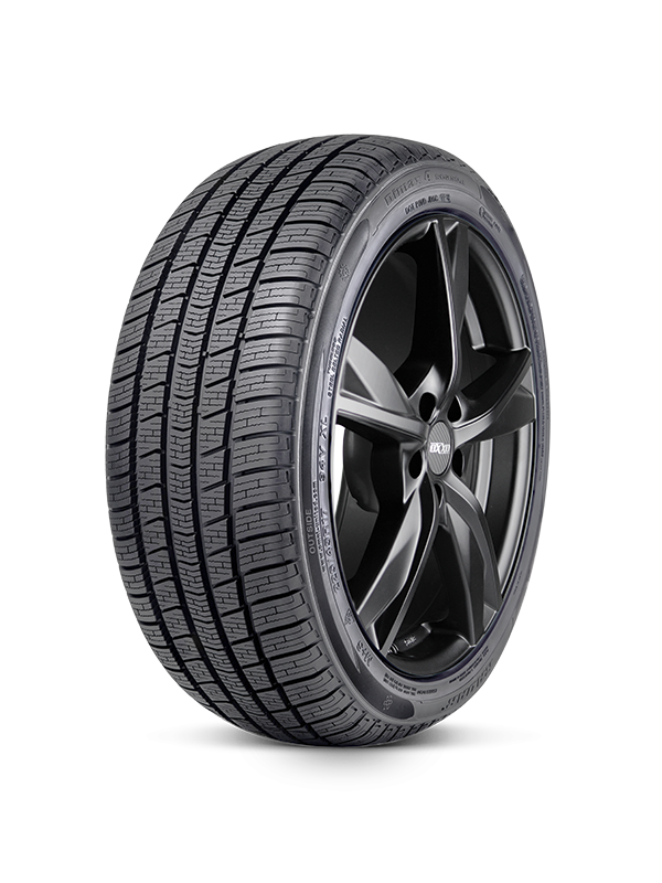 RADAR DIMAX 4 SEASON 205/55 R16