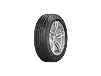 FORTUNE FSR-802 205/55 R16